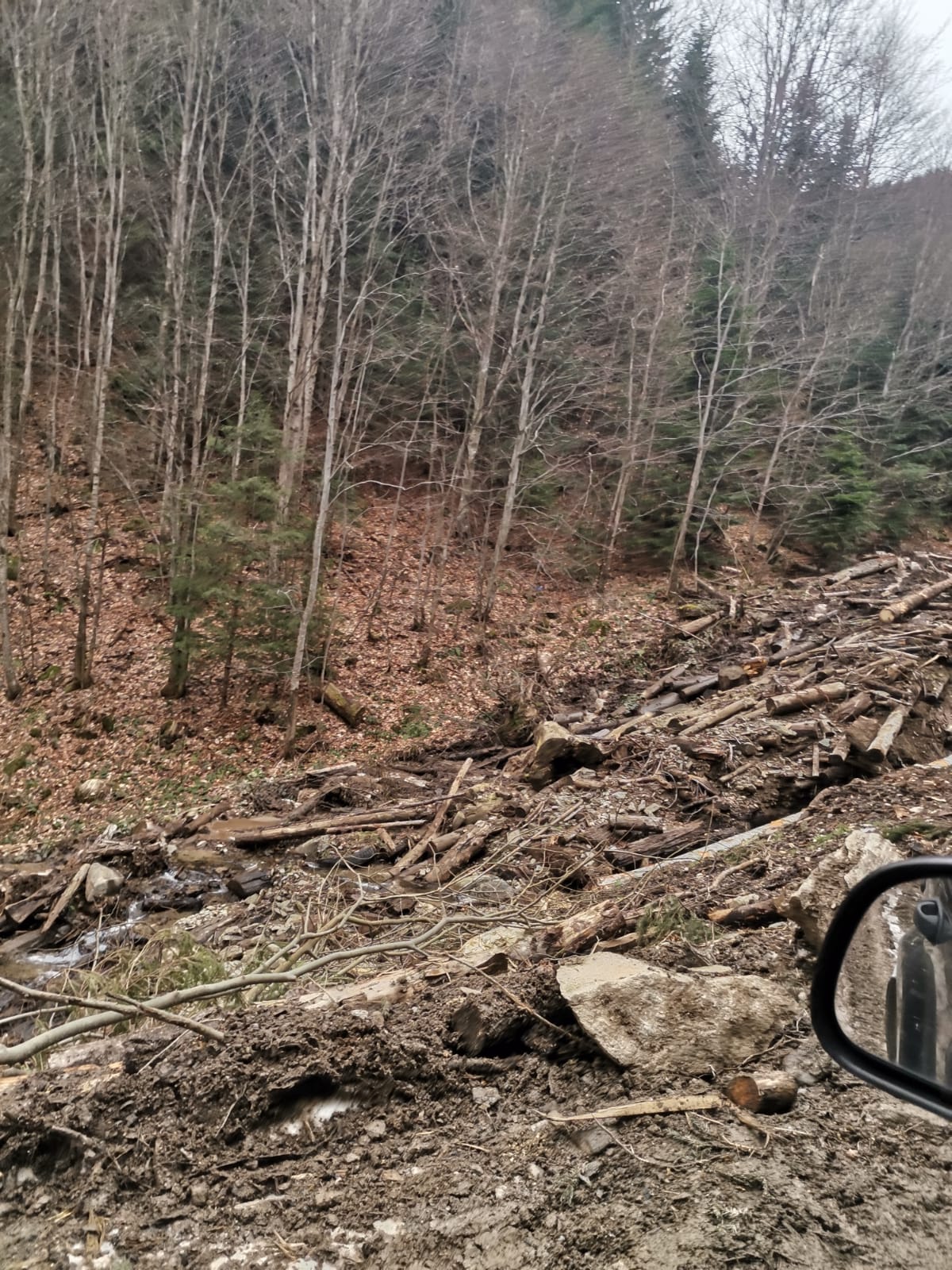 hoti de lemne slimnic