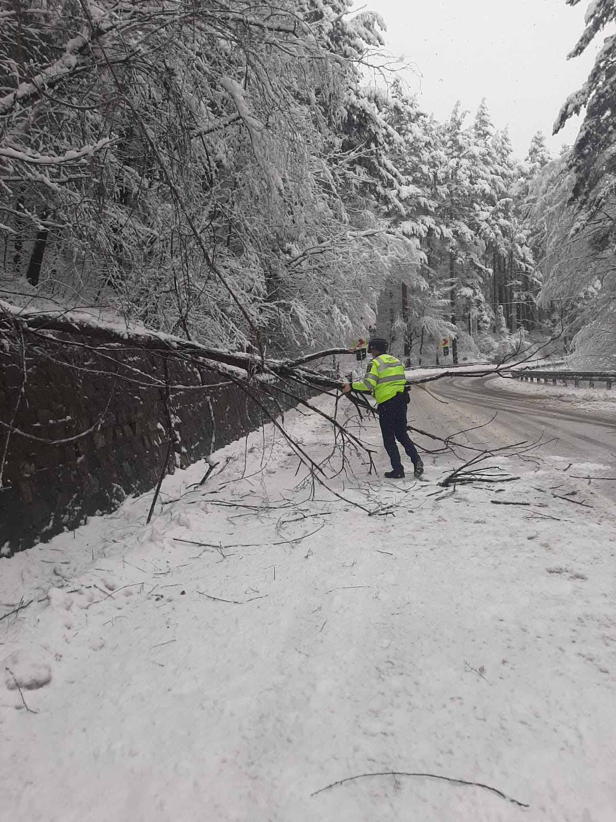 RECOMANDĂRI PENTRU CIRCULAŢIA RUTIERĂ ÎN CONDIŢII DE IARNĂ. SFATURI UTILE PENTRU ȘOFERI