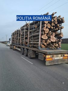 Furt de material lemnos în valoare de 15.000 de lei, ridicat de politisti