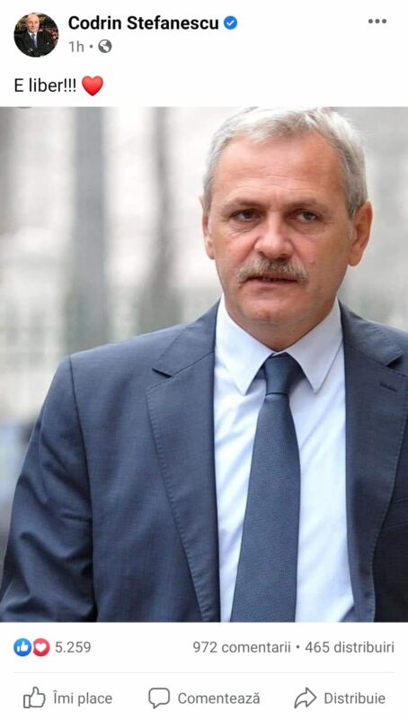 liviu Dragnea in liberate