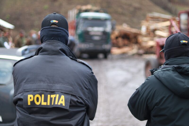Bărbat prins în timp ce transporta mesteacăn ilegal