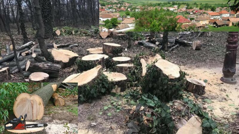 Popa Gheorghe Vurpar