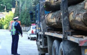 Peste 60 de mc de material lemnos confiscat