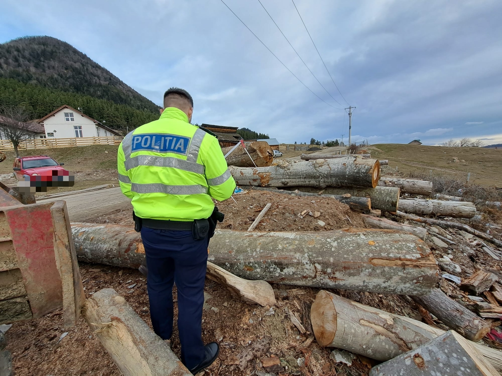 Peste 1000 mc de lemn confiscați de specialiştii silvici