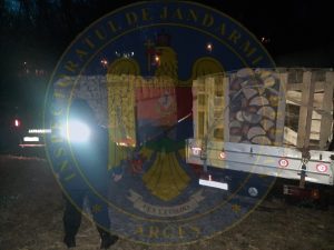 13,227 de metri cubi de material lemnos confiscați