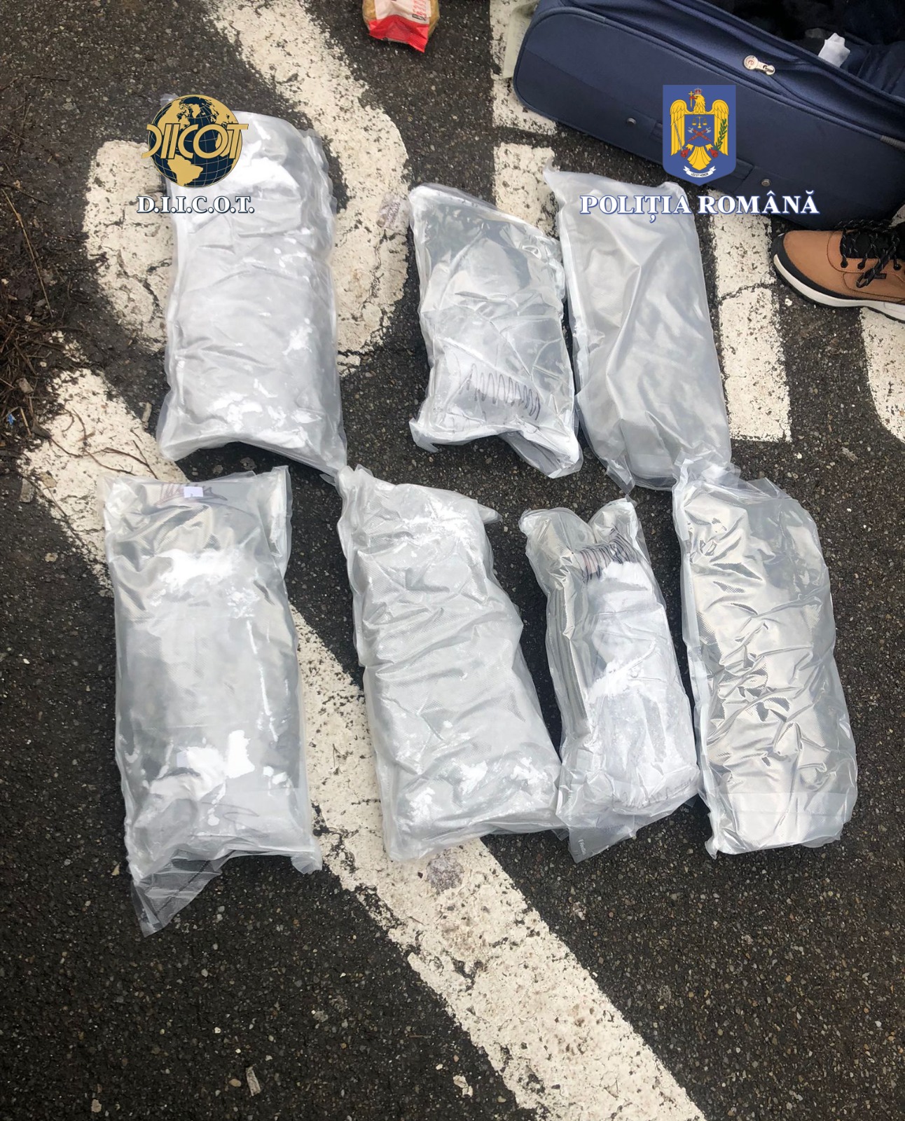 Traficanți internaționali de droguri prinși în flagrant