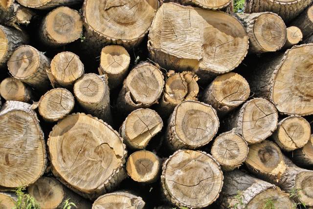 7,0181 mc de lemn confiscat pentru 72 de ore de către polițiști lemn