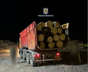 Bărbat cercetat penal pentru transport ilegal de material lemnos