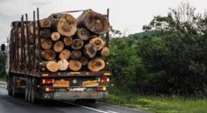 Camion plin cu lemn confiscat de polițiști