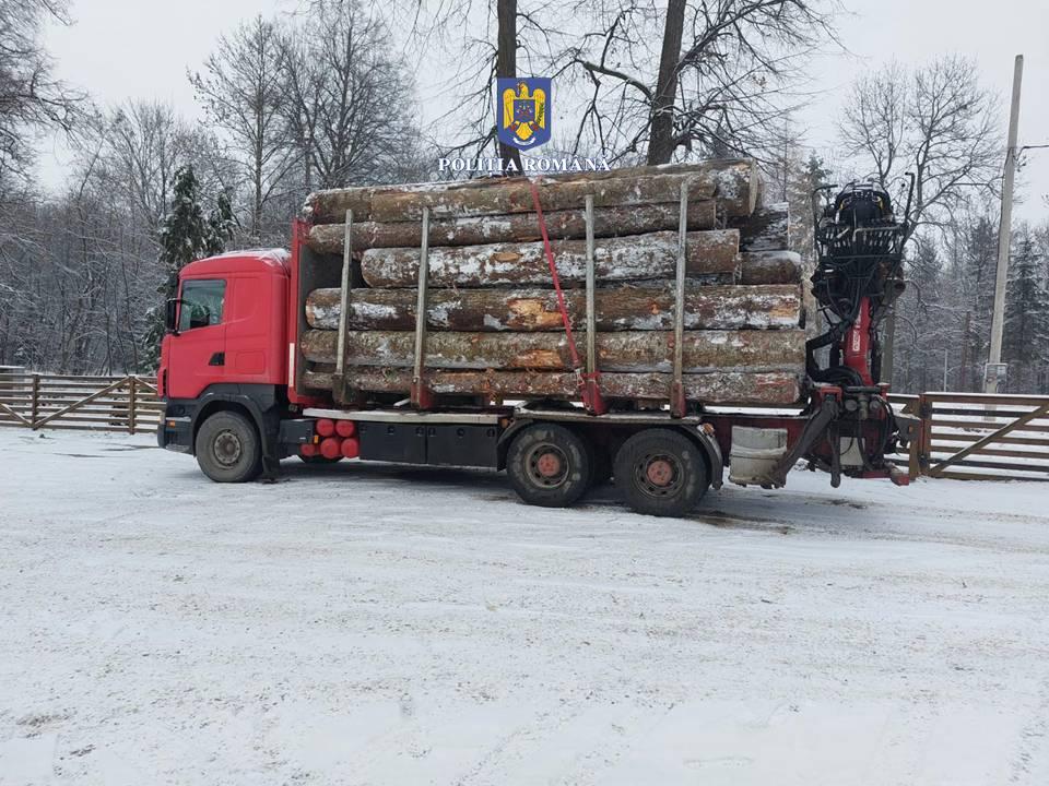 Autoutilitară de 50.000 euro și 25 de m.c. de lemn confiscate