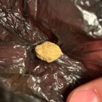 Traficanți de droguri prinși cu canabis și MDMA