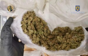 Traficant de droguri arestat - Prins în flagrant cu 230 de grame de canabis