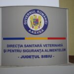 DSVSA Sibiu – Un focar de pesta micilor rumegătoare descoperit în Baia, Tulcea