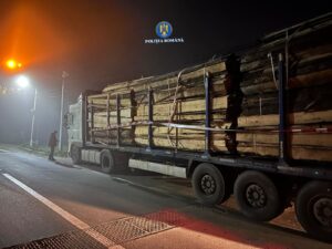 transport ilegal de lemn