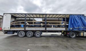 autoturisme furate descoperite de polițiștii de frontieră