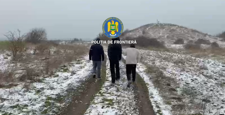 cetățeni turci depistați Mangalia documente false