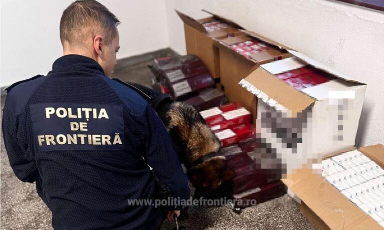 țigarete de contrabandă descoperite în Portul Constanța