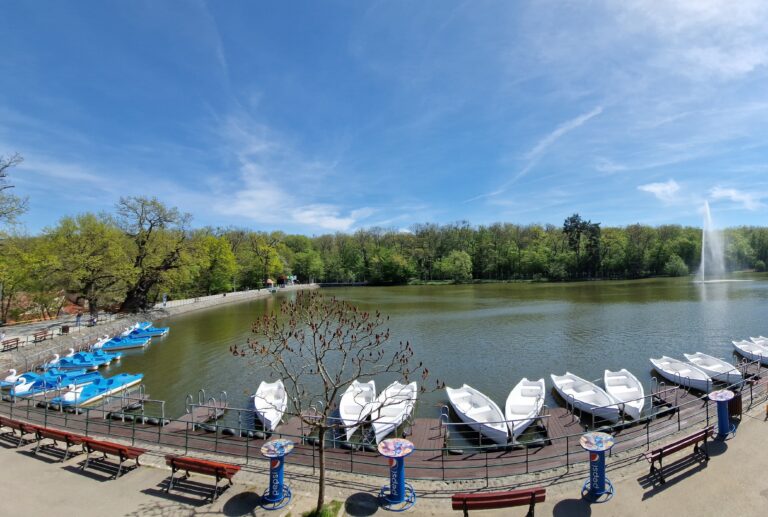 licitații Zoo Sibiu