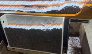 fabrică ilegală țigarete Timișoara