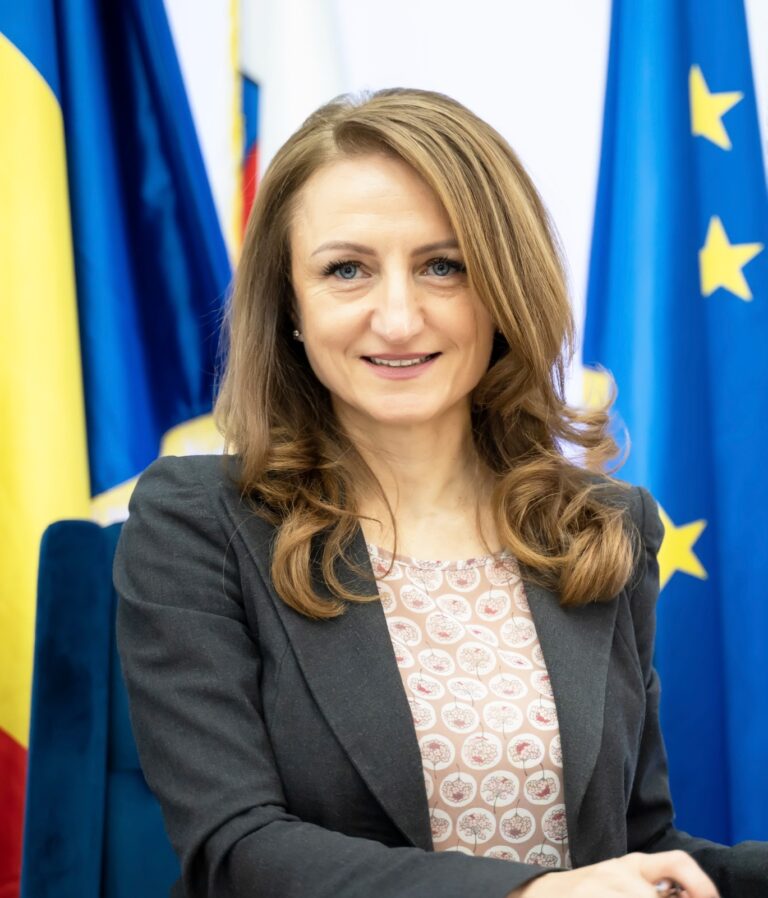 Daniela Cîmpean, Consiliul Județean Sibiu