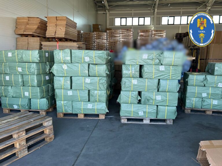 încălțăminte contrafăcută Vama Constanța Sud