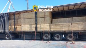 cherestea fără documente de proveniență